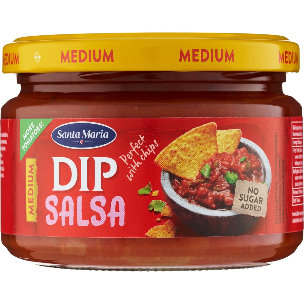Santa Maria Tex Mex Salsa dip medium
