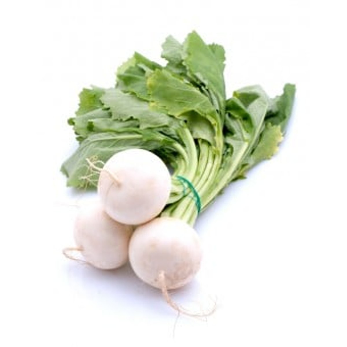 Ředkev bílá kulatá, svazek