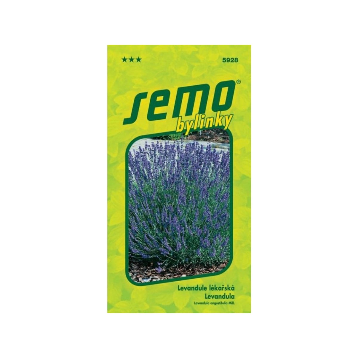SEMO Levandule lékařská