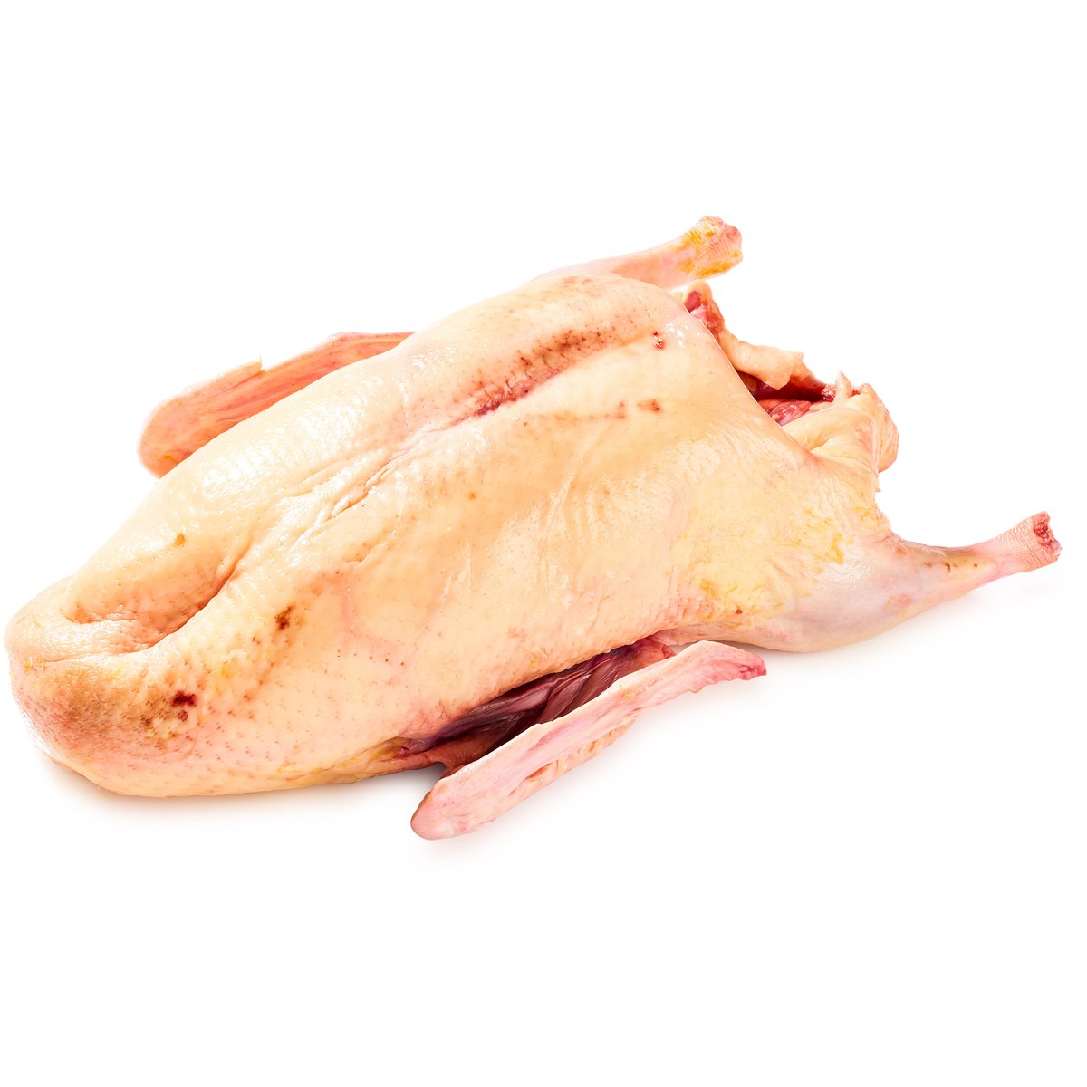 Kachna mulard chlazená