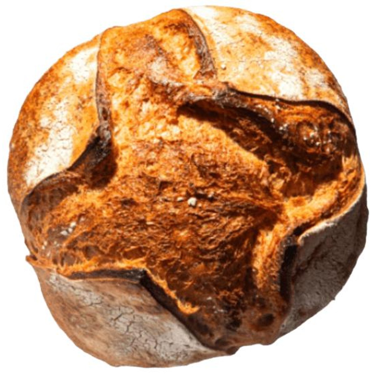 William Thomas Artisan Bakery Pain de Campagne (francouzský venkovský chléb)