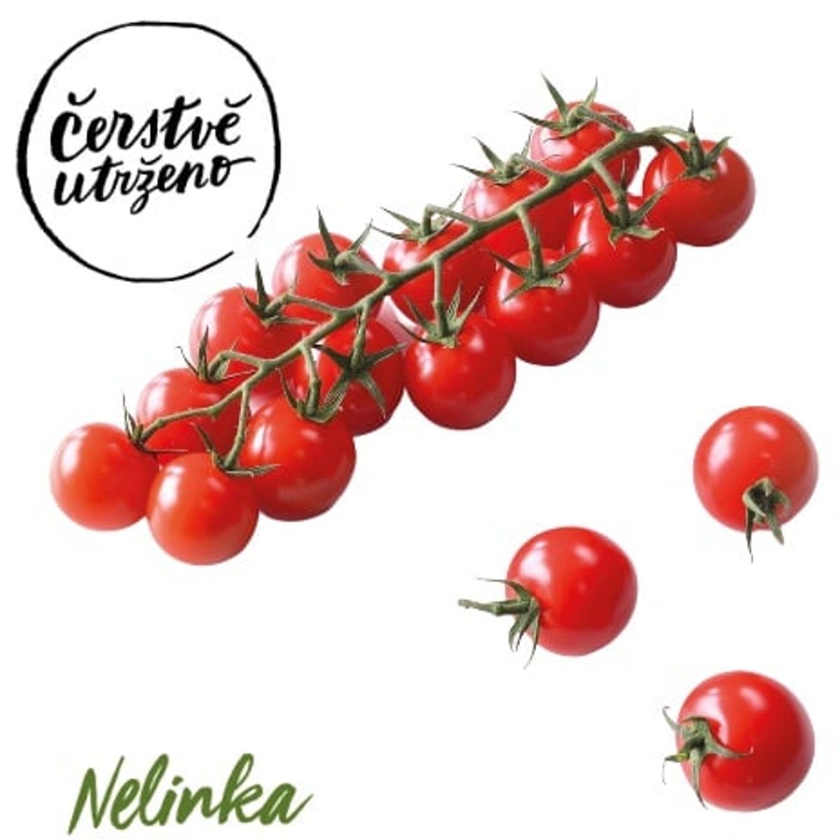 Čerstvě utrženo – Rajčátka cherry na větvičce Nelinka, střapec