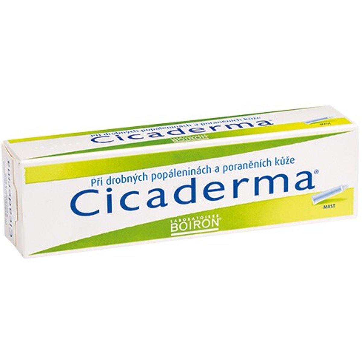 CICADERMA mast 30G