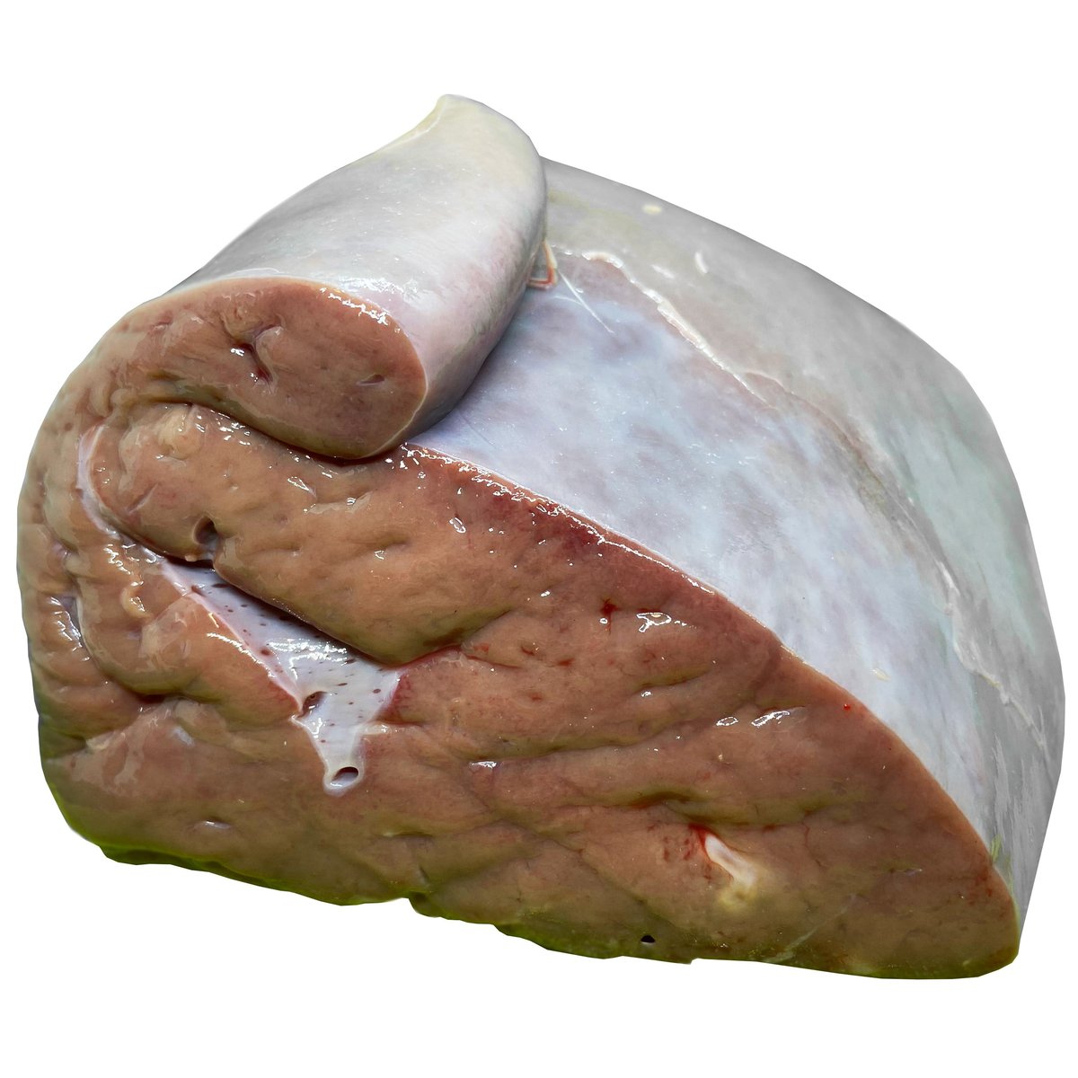 Qualivo Telecí játra