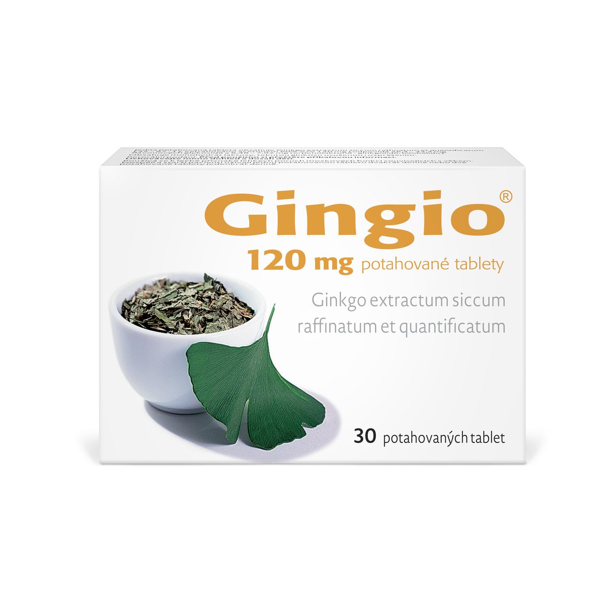 GINGIO 120MG Potahovaná tableta 30