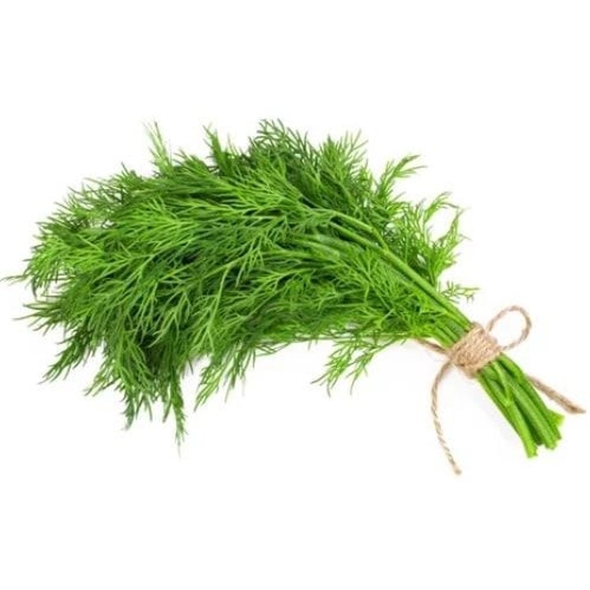 Levně Kopr řezaný, svazek