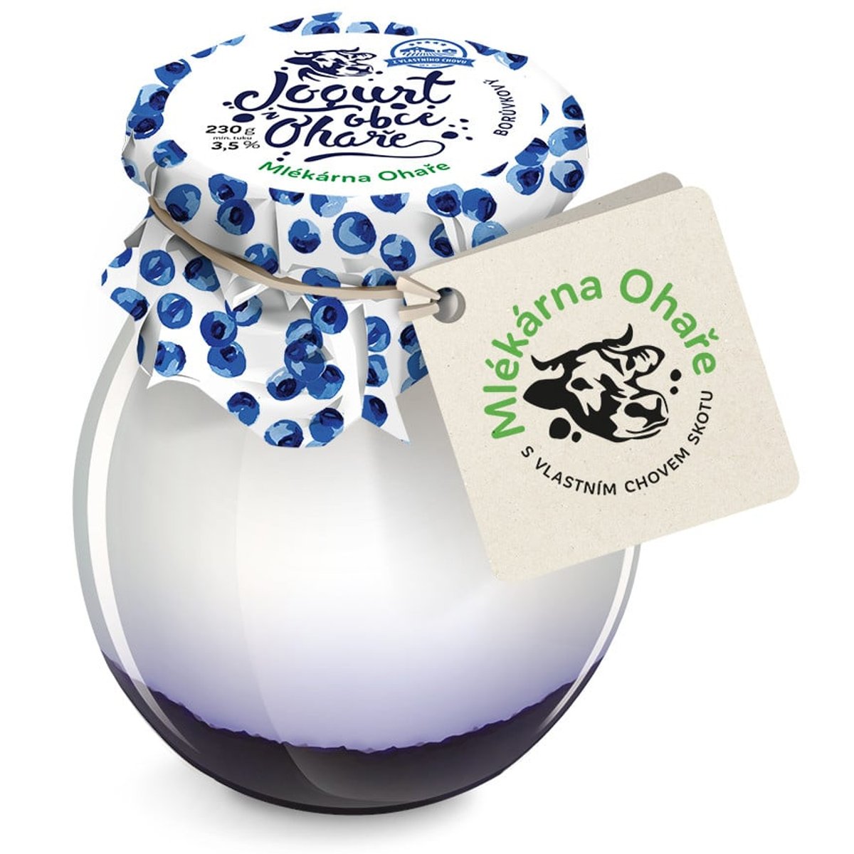 Mlékárna Ohaře Jogurt borůvkový