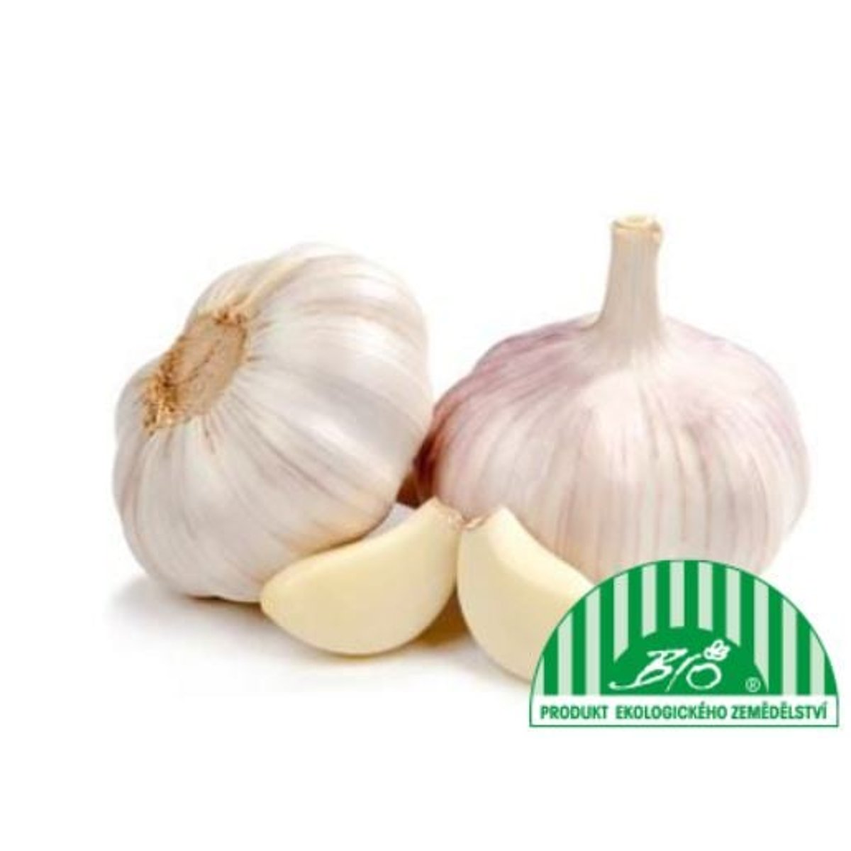 BIO Česnek, balení