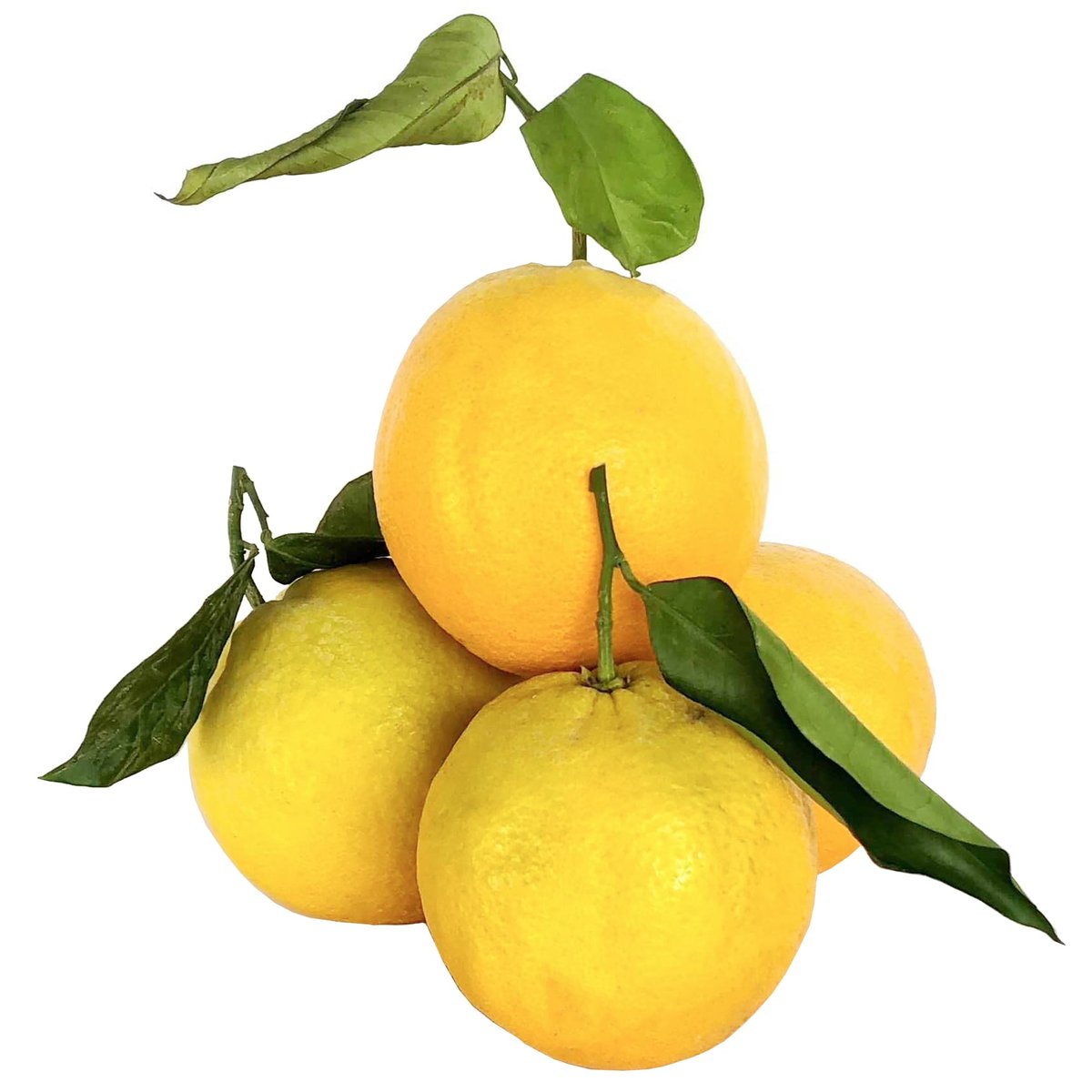 Sicilské pomeranče - bez chemického ošetření (1 ks)