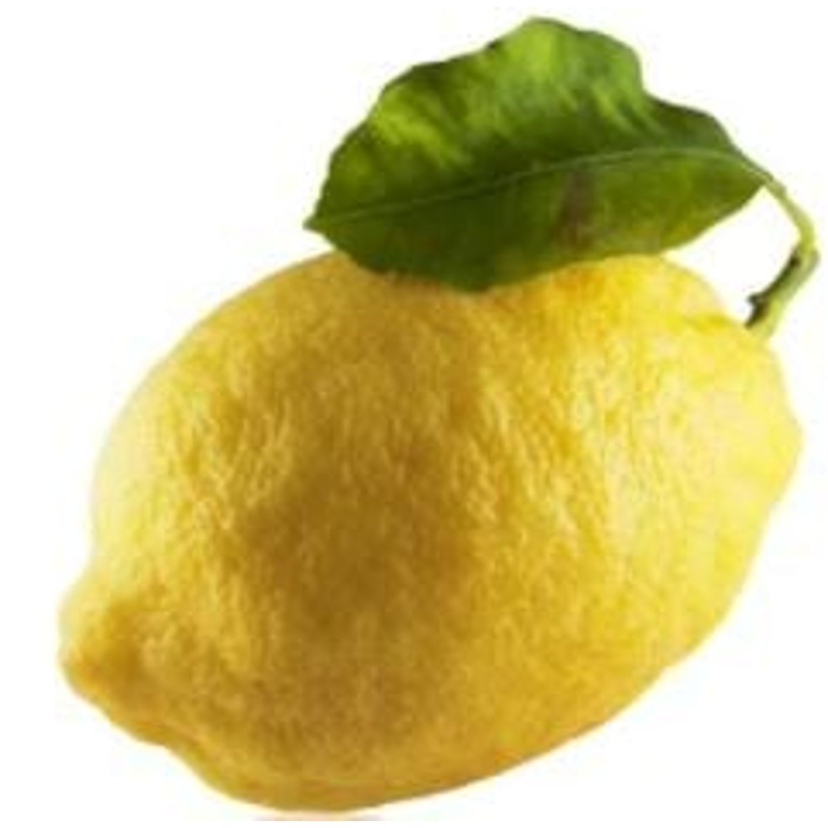Citron Amalfi 1 ks
