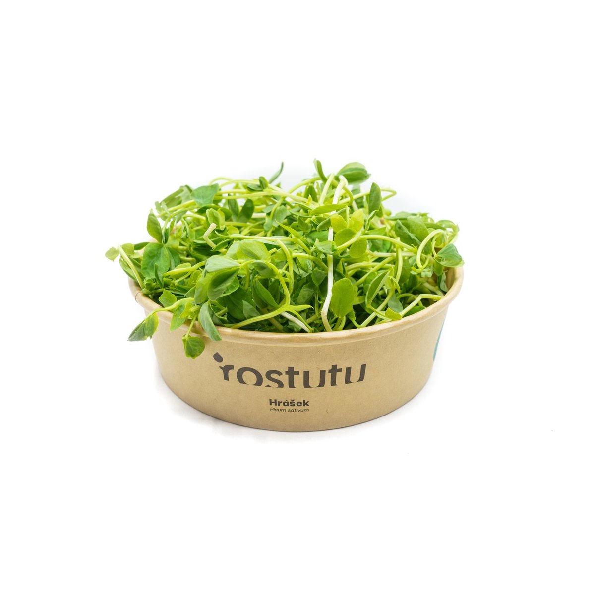 Microgreens hrášek, vanička