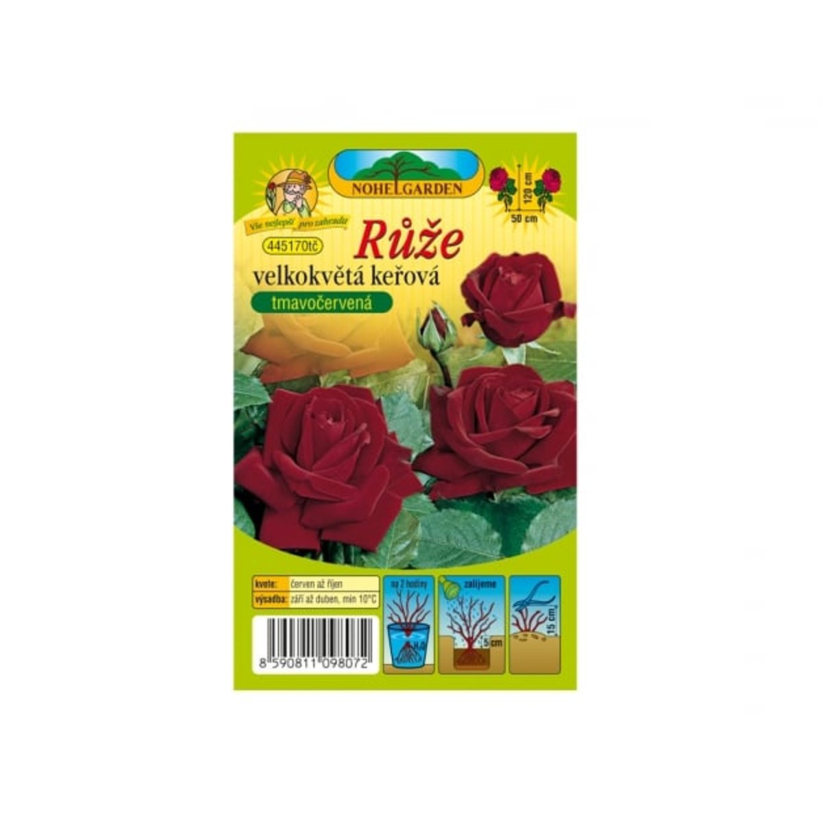 Růže velkokvětá keřová červená