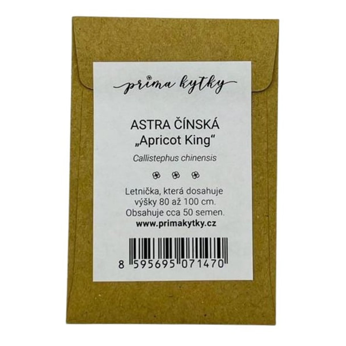 Prima kytky Astra čínská „Apricot King"