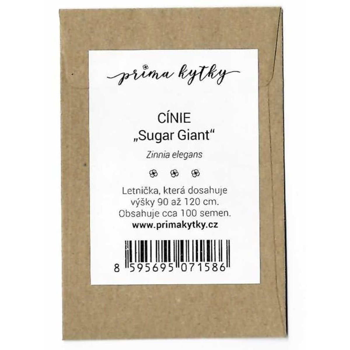 Prima kytky Cínie „Sugar Giant“