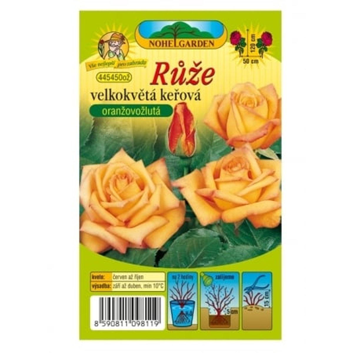 Růže velkokvětá keřová oranžovo-žlutá