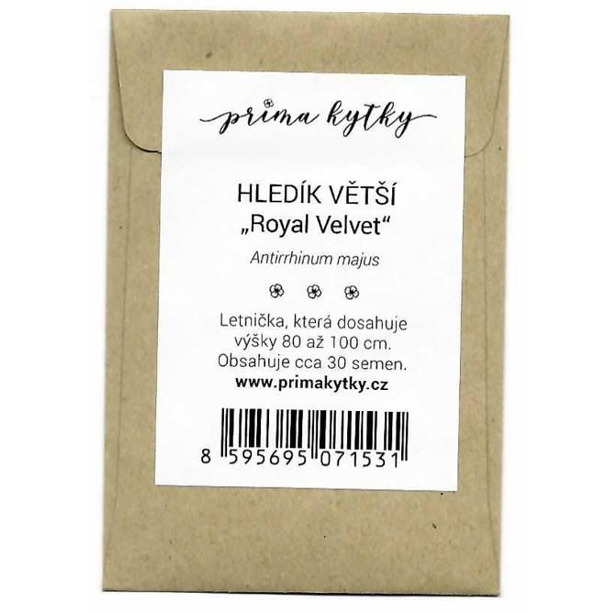 Prima kytky Hledík větší "Royal Velvet"
