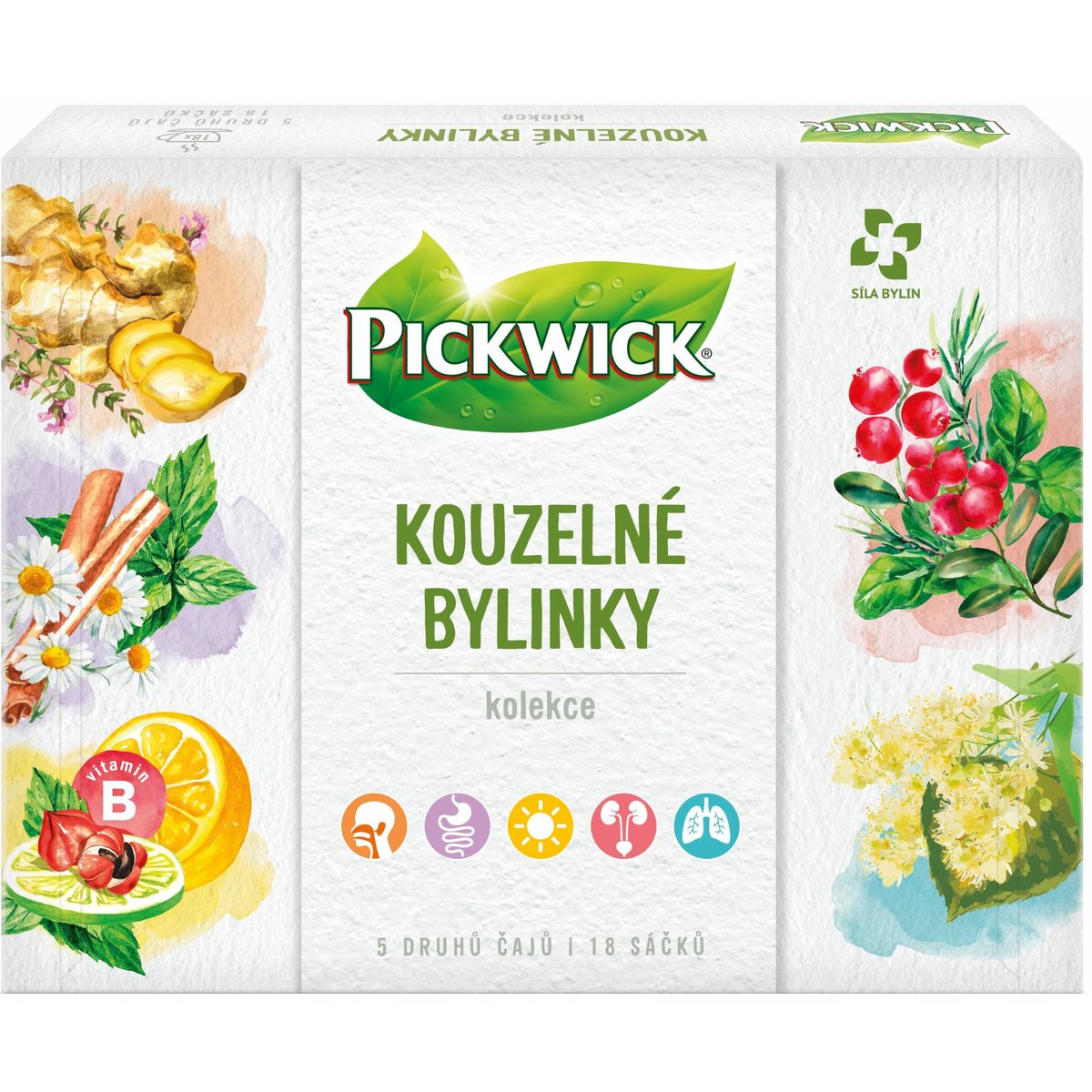 Pickwick Magické bylinky kolekce bylinných čajů