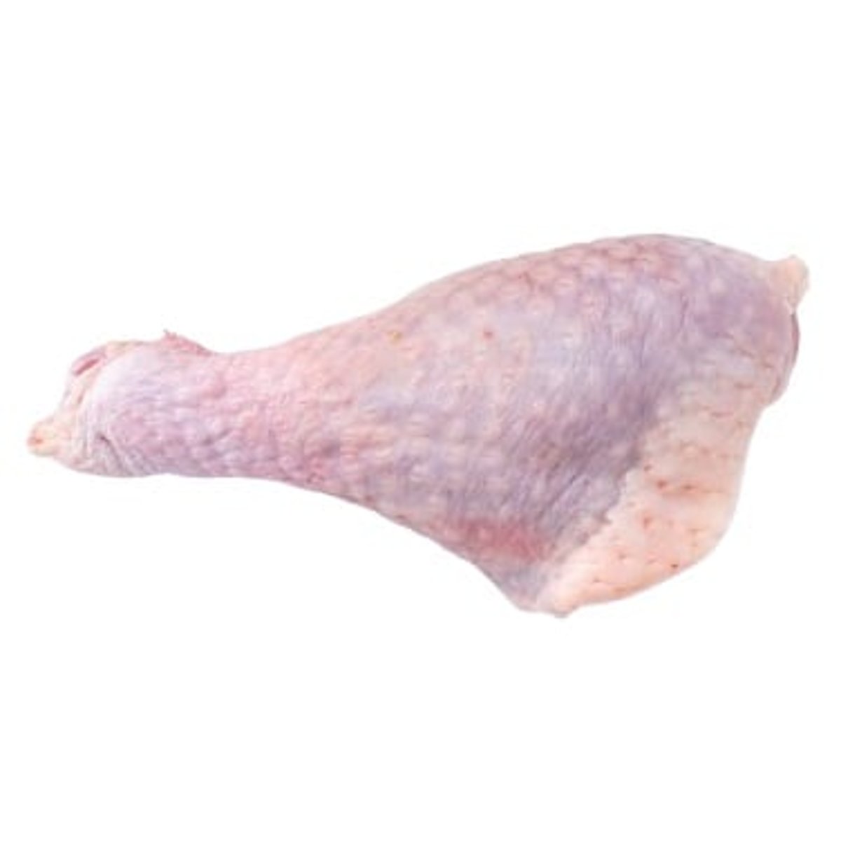 Česká krůta Krůtí spodní stehno palička