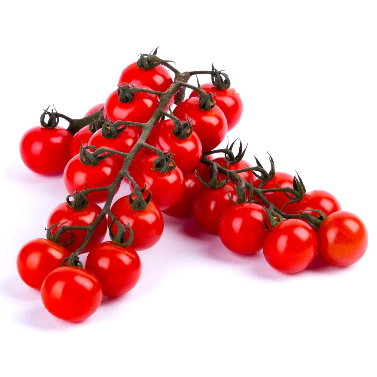 Kunratická stodola – Rajčata cherry na větvičce (odr. Cerasina), střapec