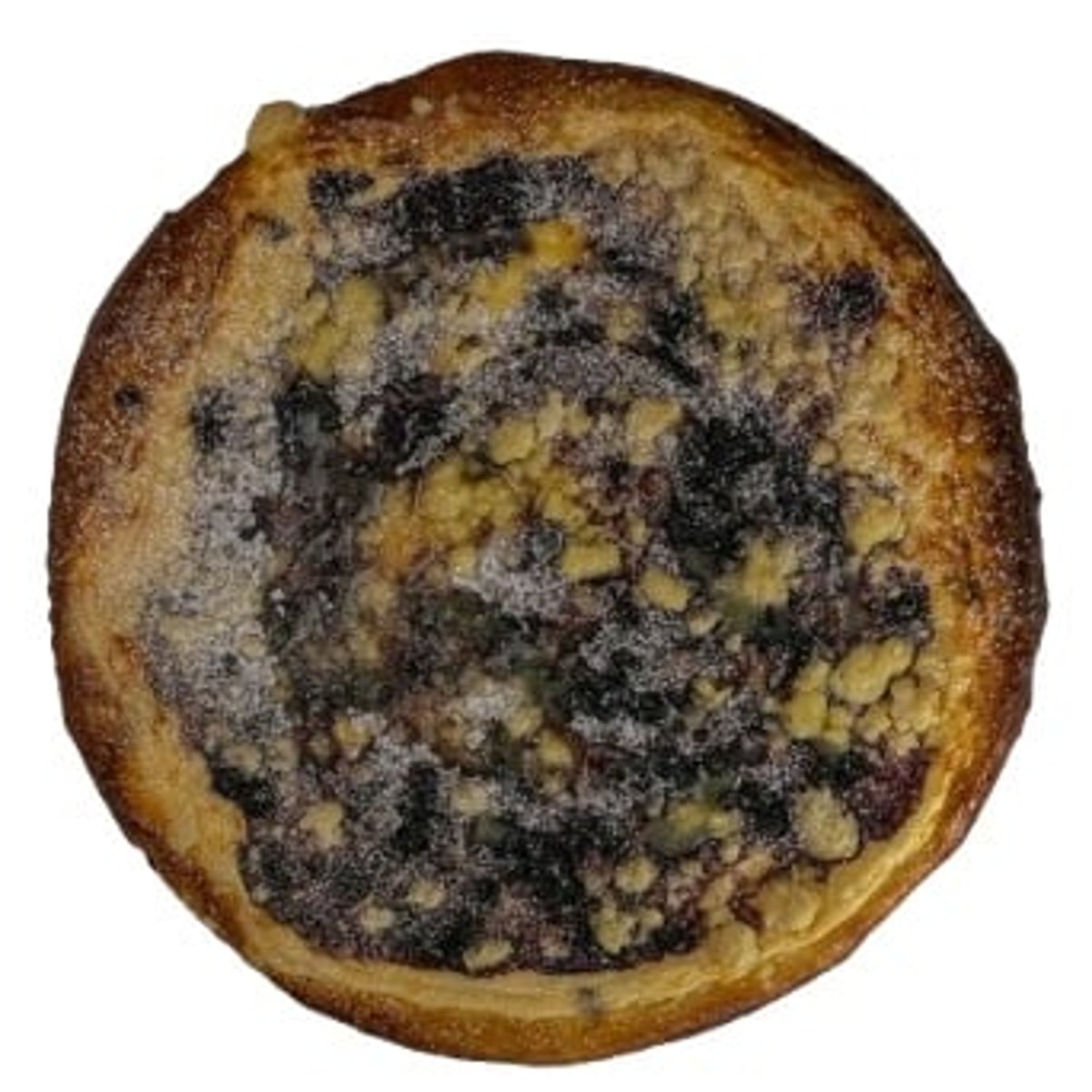 Karlovský frgál tvarohový s borůvkami