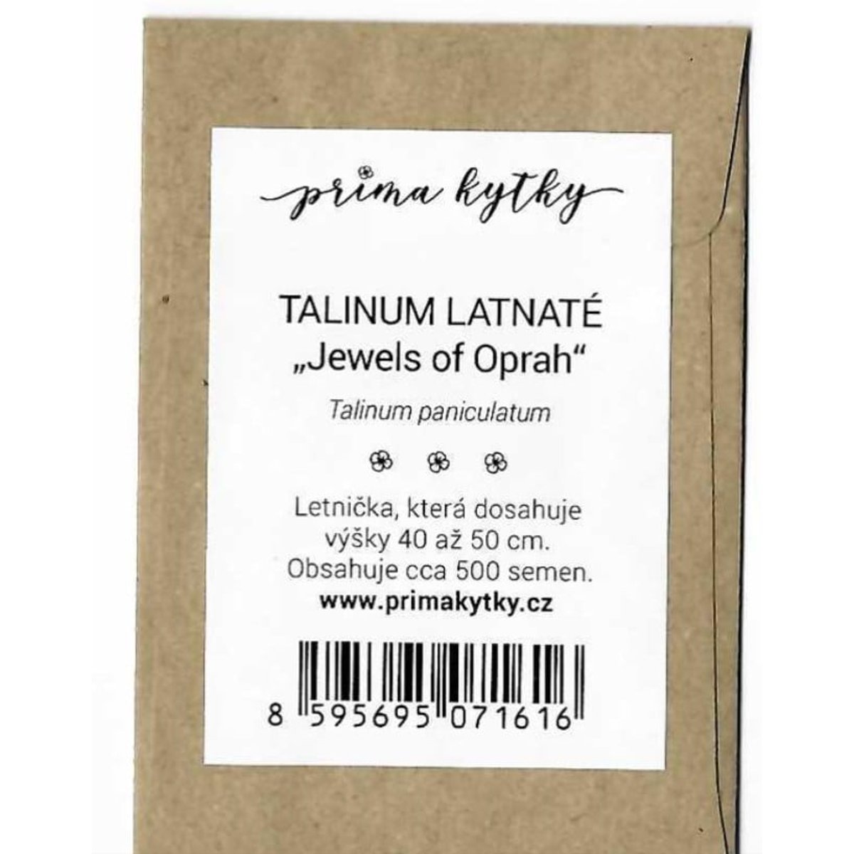 Prima kytky Talinum latnaté "Jewels of Oprah"