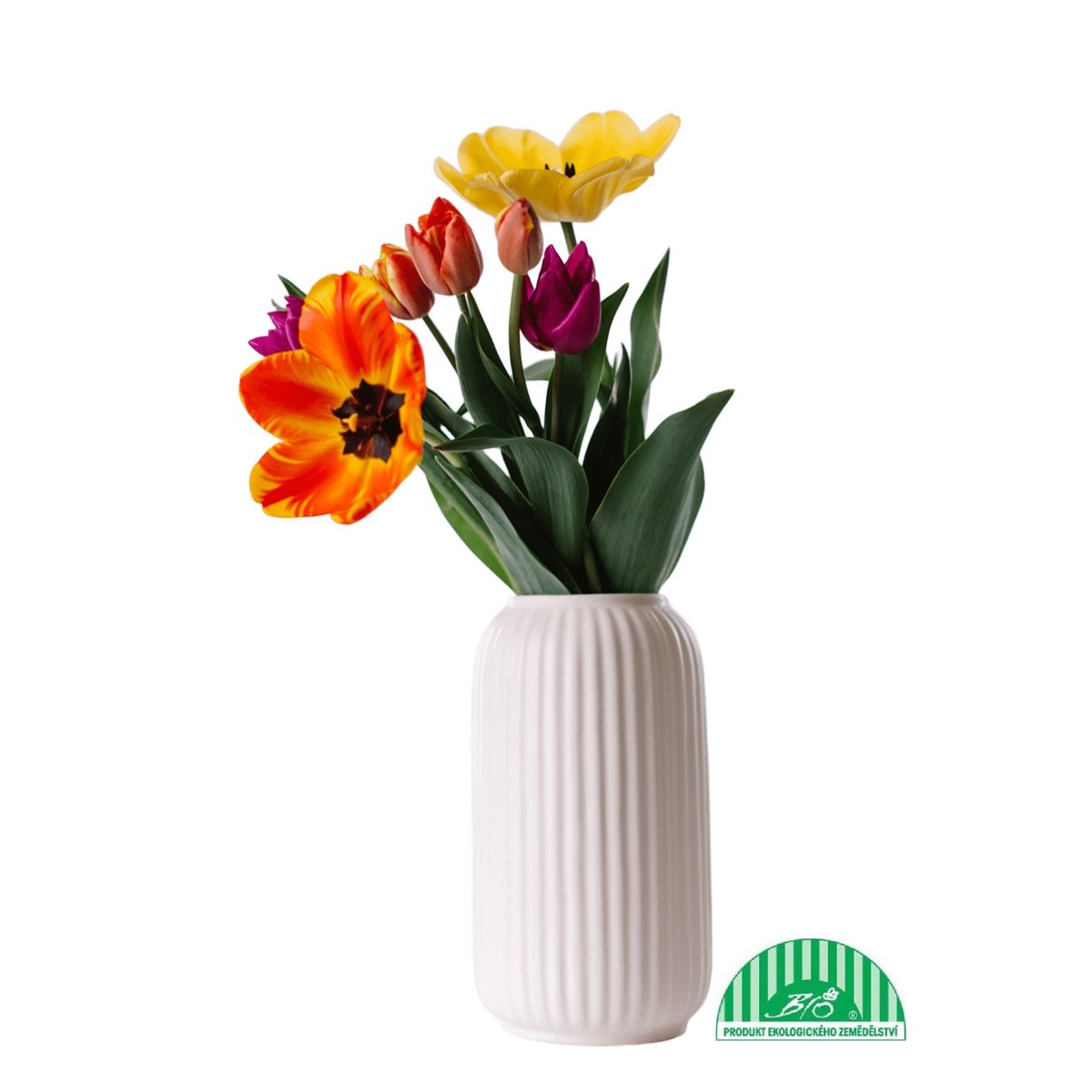 Vitenplant BIO Kytice tulipánů "Spring Lover"