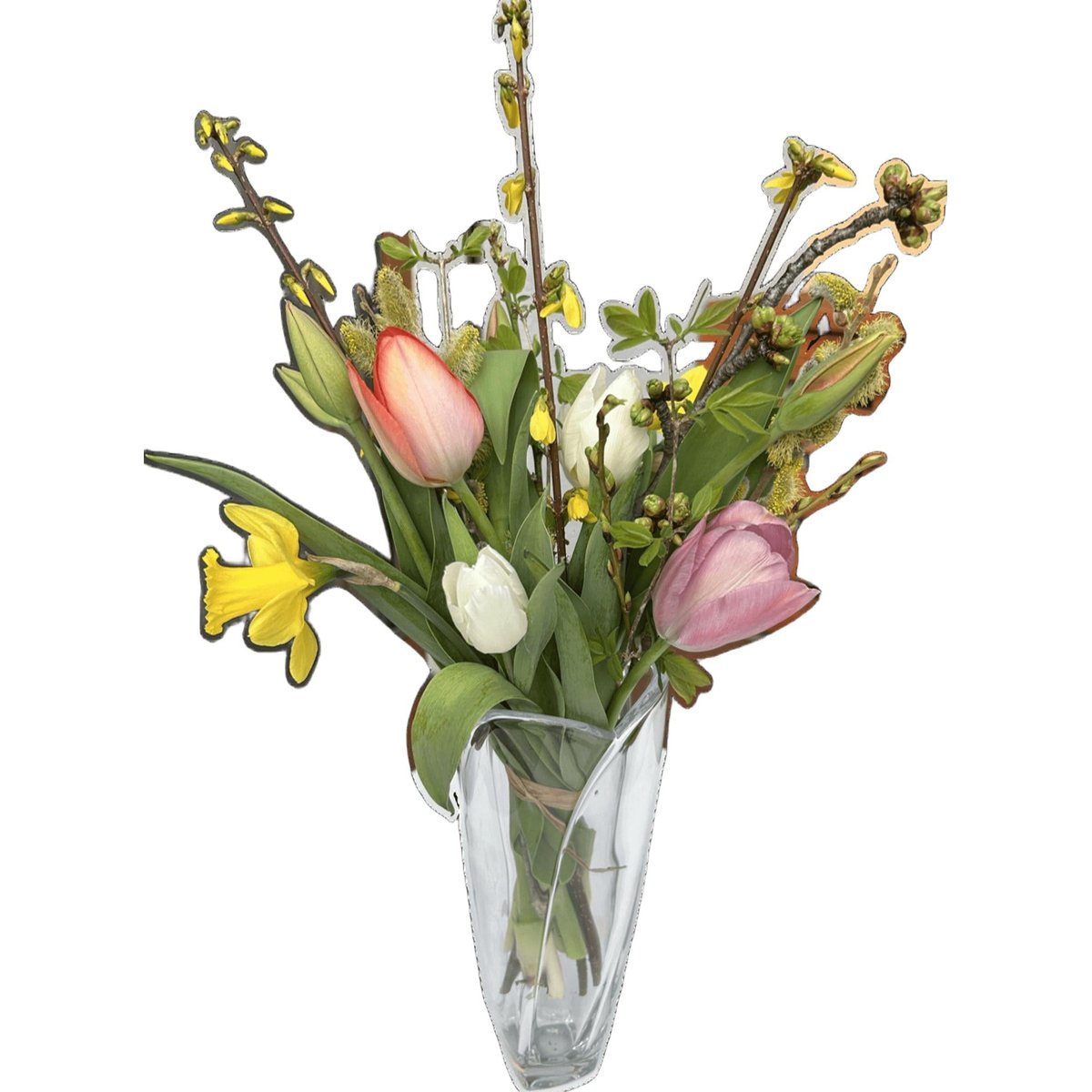 Vitenplant BIO Jarní kytice "Spring sun"