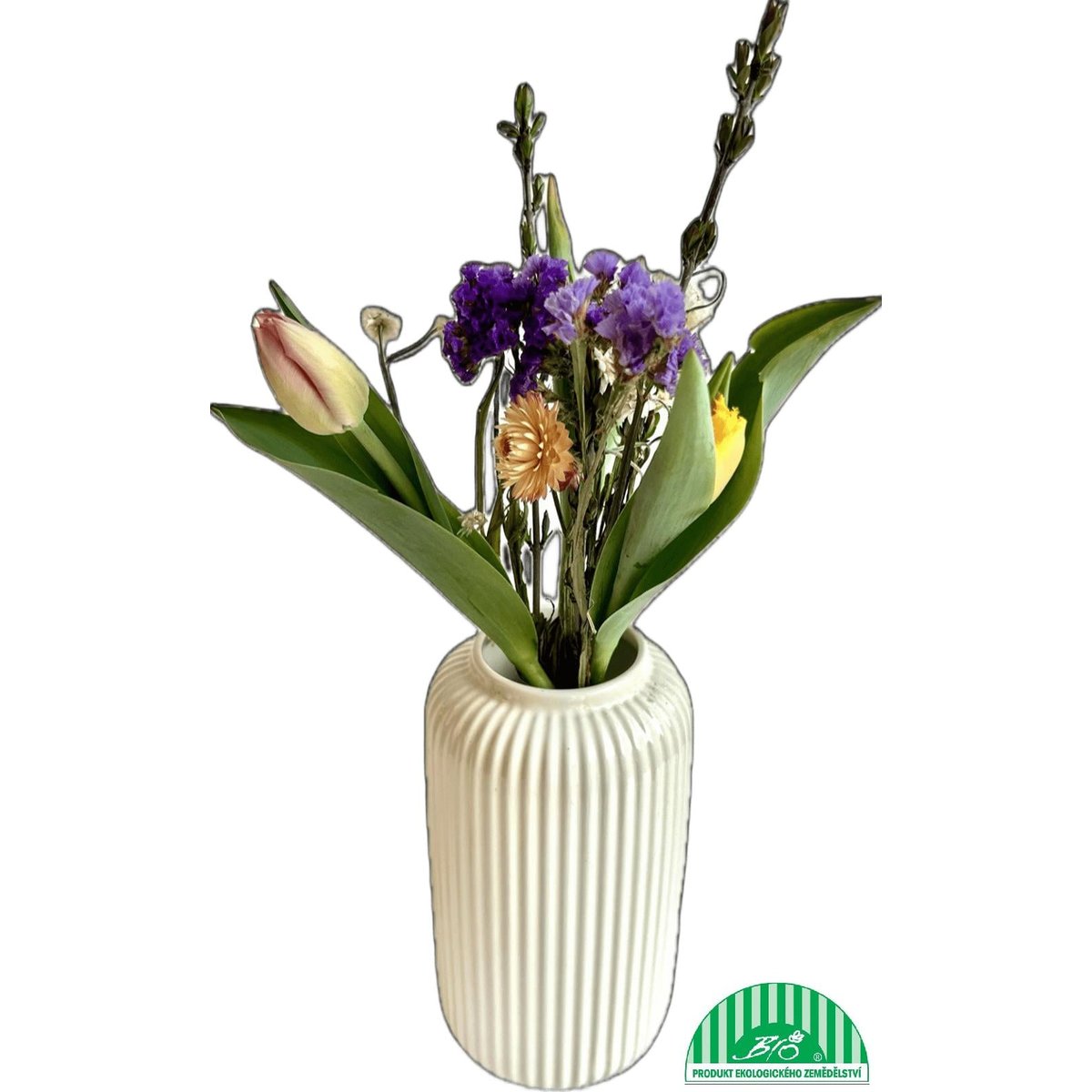 Vitenplant BIO Jarní kytice "Spring sun"