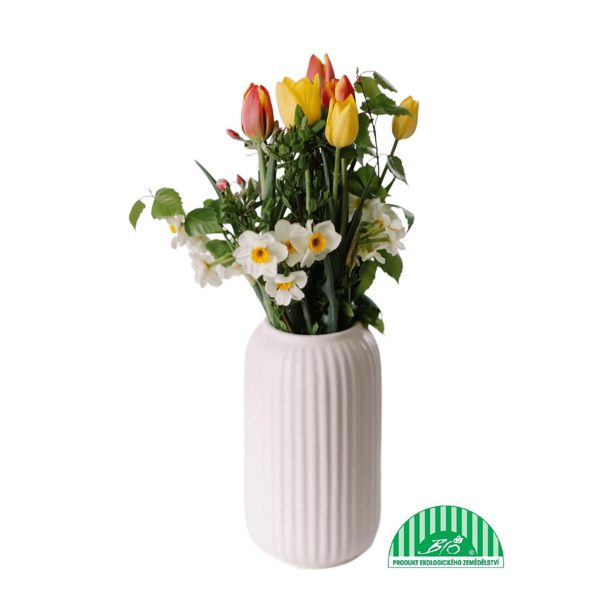 Vitenplant BIO Jarní kytice "Spring sun"