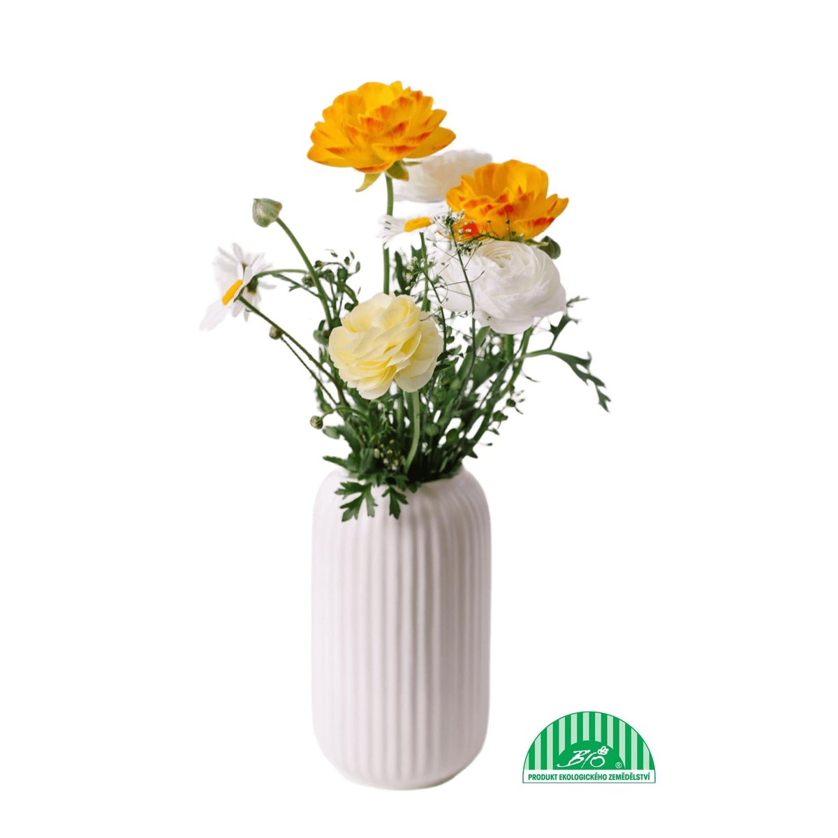 Vitenplant BIO Jarní kytice "Spring sun"
