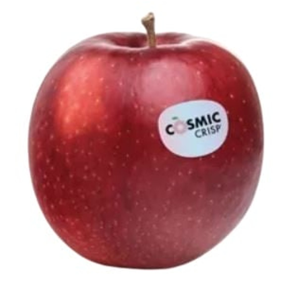 Jablko Cosmic crisp