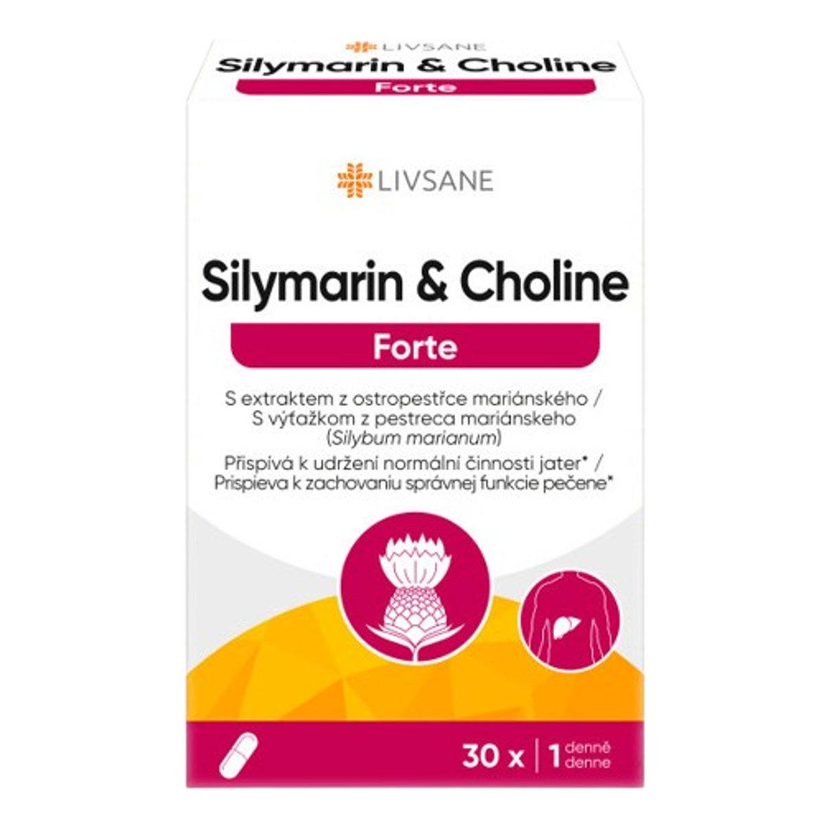 LIVSANE Silymarin & Cholin Forte tob.30