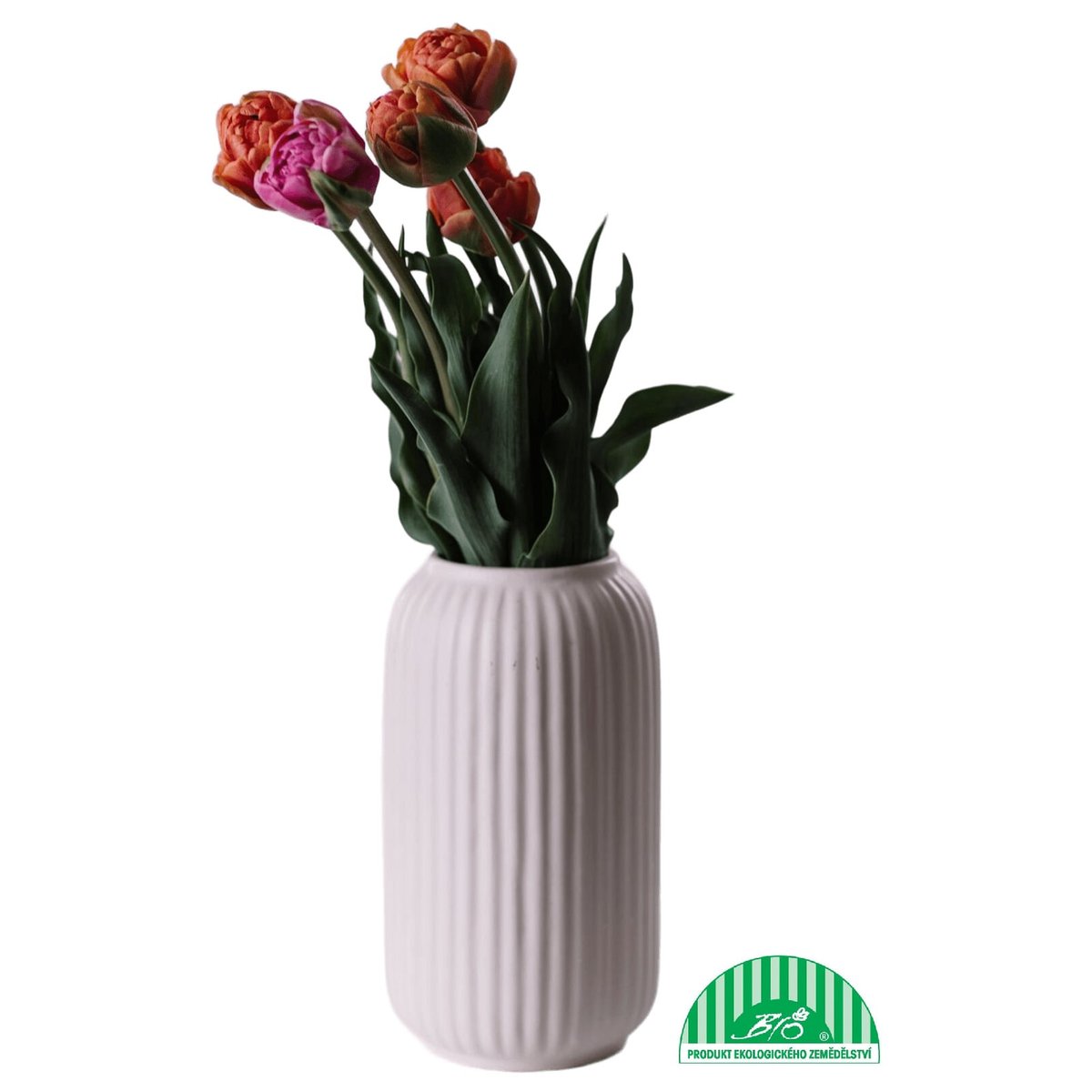 Vitenplant BIO Tulipány "Royal"