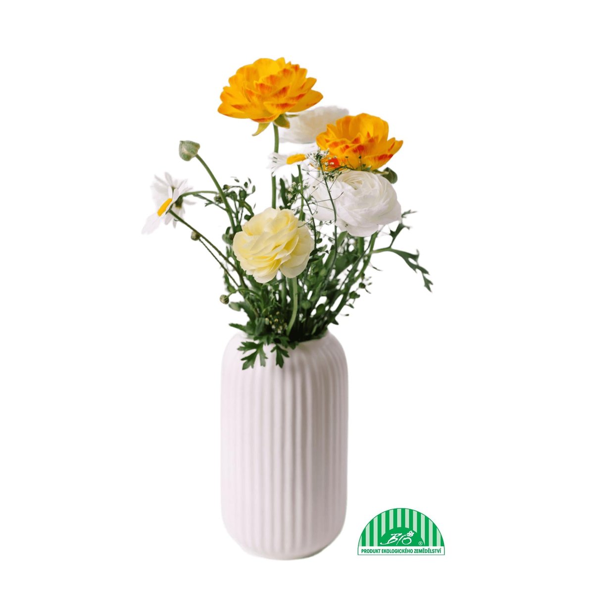 Vitenplant BIO Pryskyřníky "Romance"