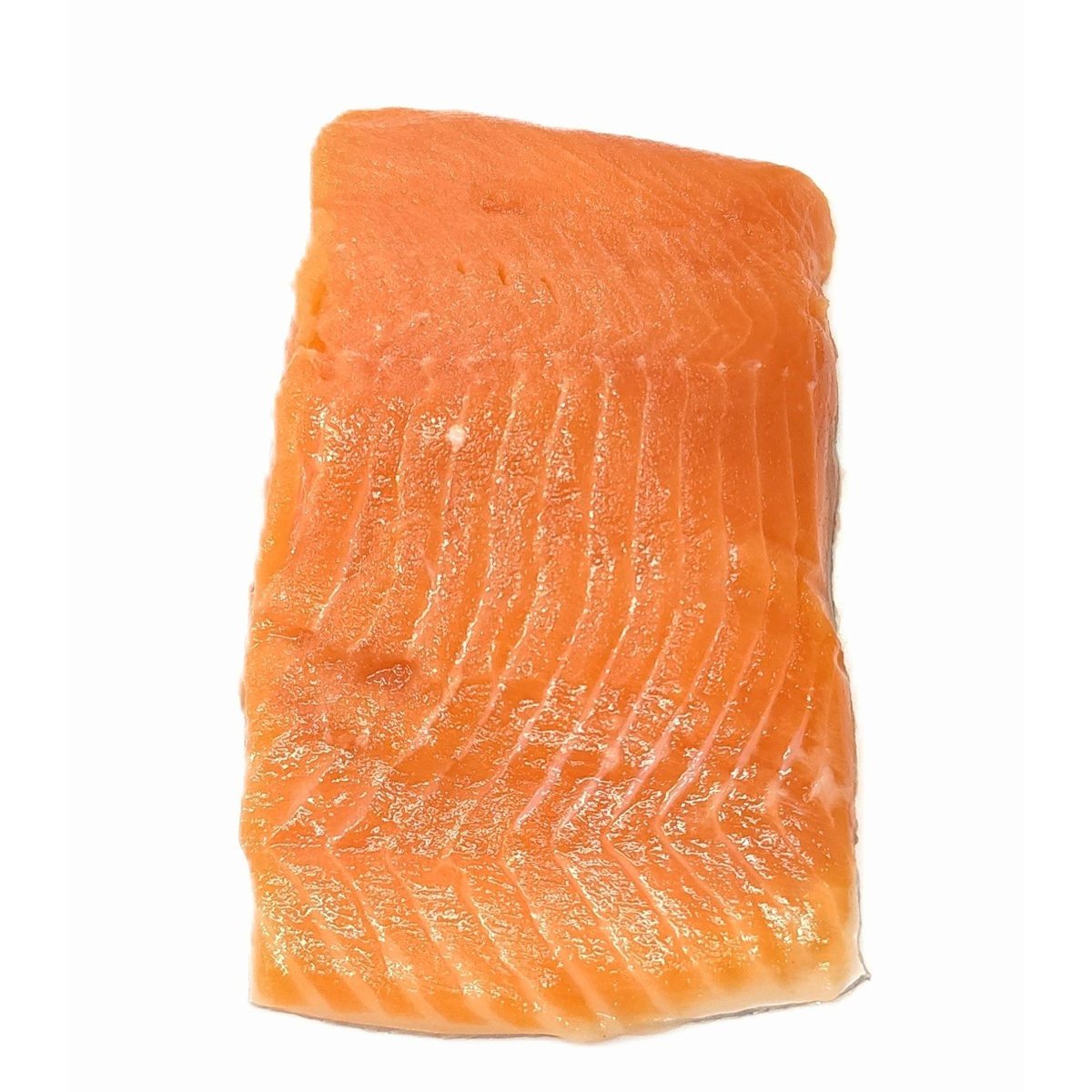 Pstruh lososovitý porce