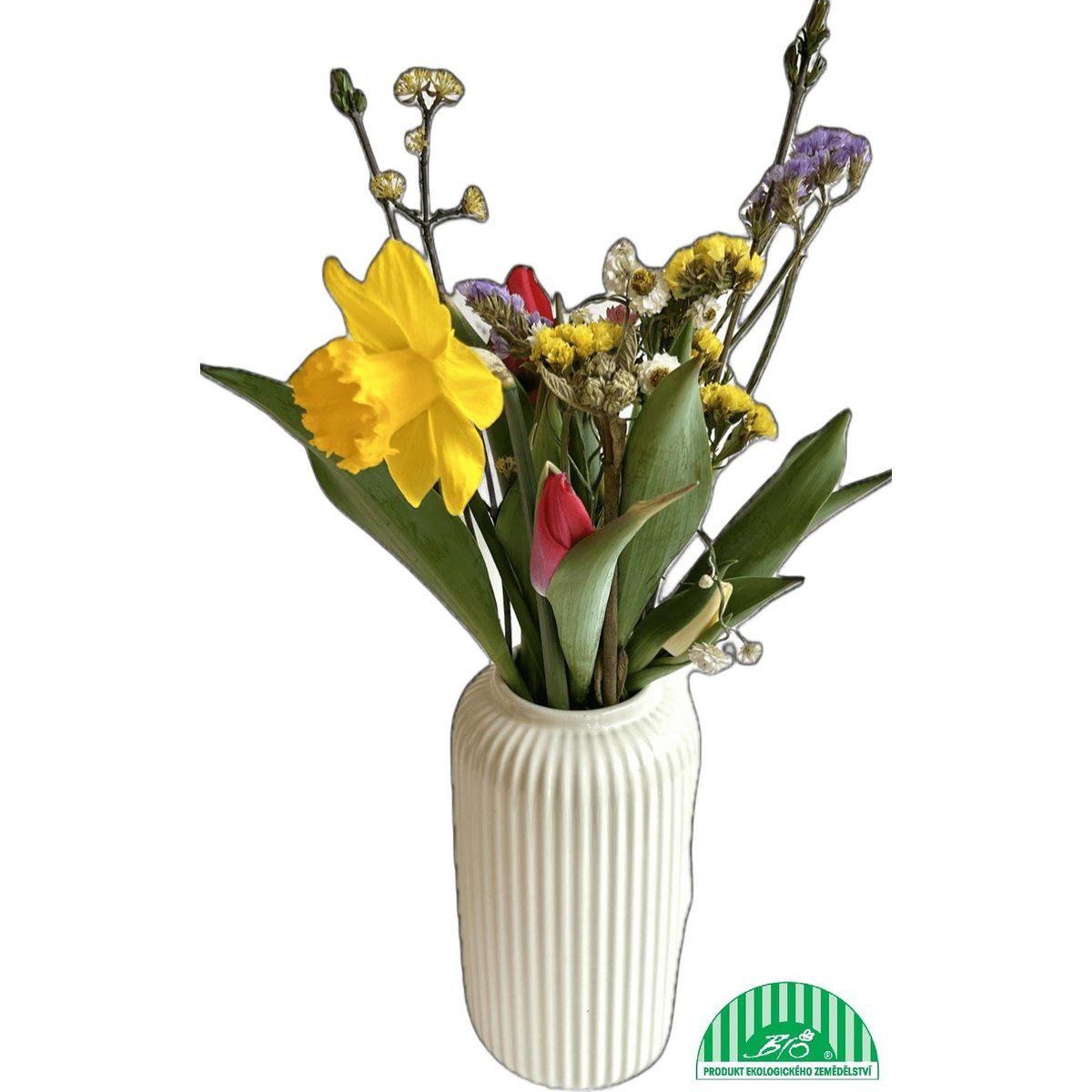 Vitenplant BIO Letní kytice "Beautiful sunset"