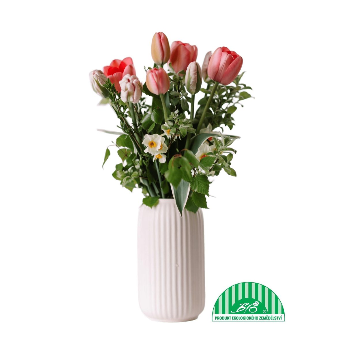 Vitenplant BIO Kytice jarní "Double joy"