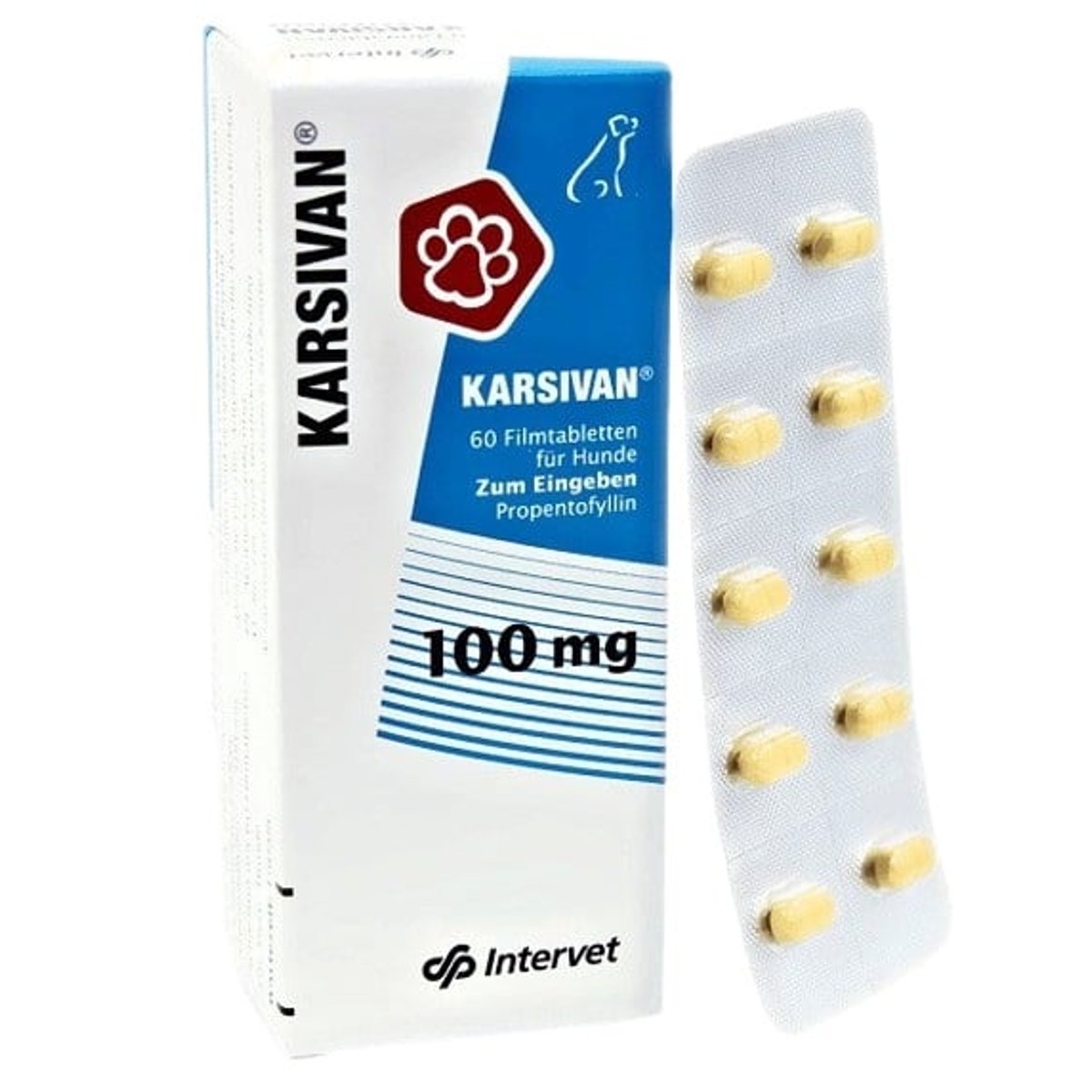 Karsivan 100mg tbl.60x100mg