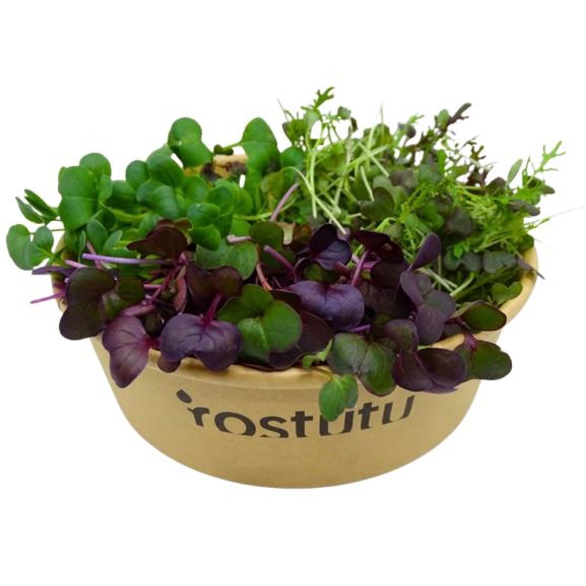 Microgreens "Ostrý mix" tří druhů, vanička