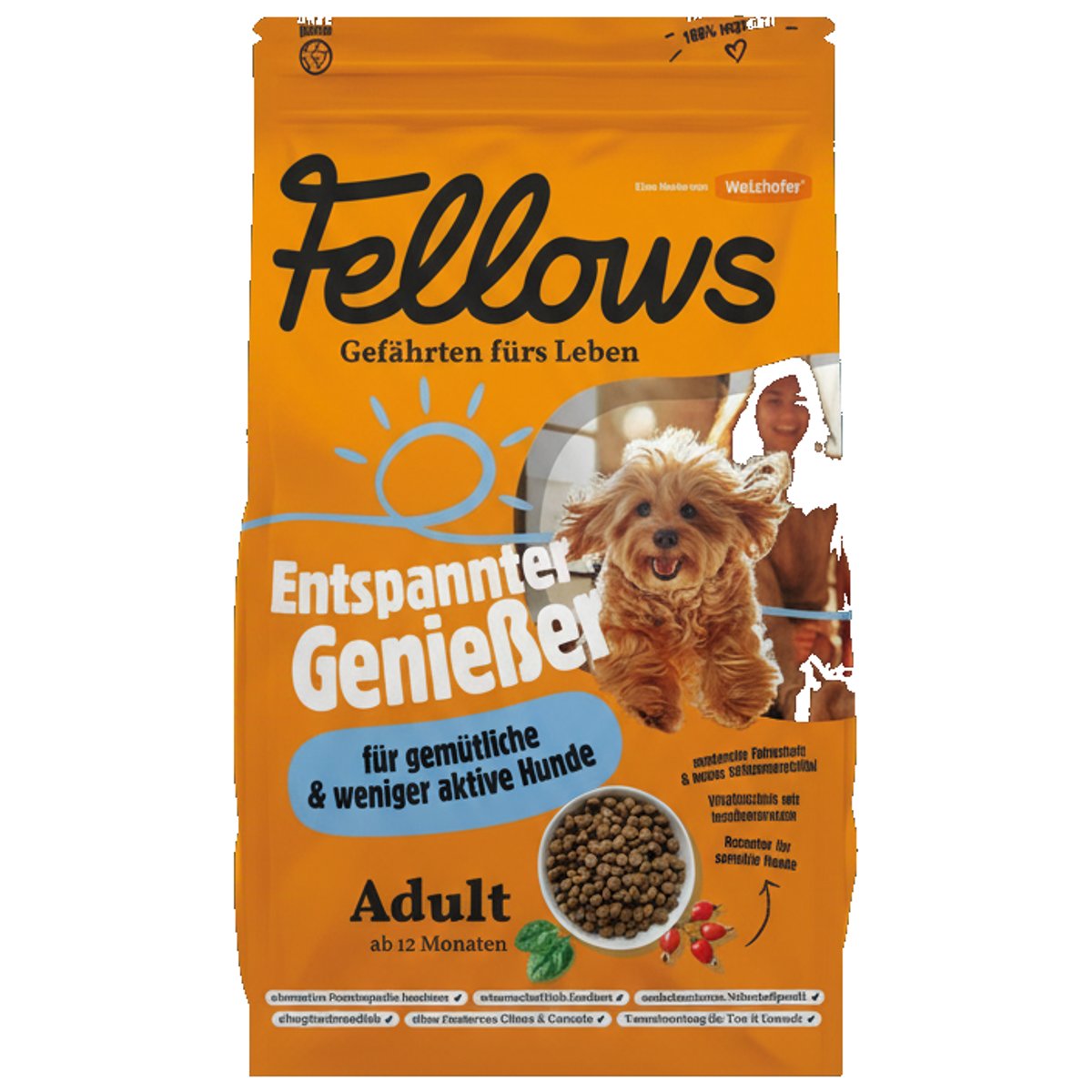 Fellows Hmyzí granule pro městské a méně aktivní psy, 2 kg