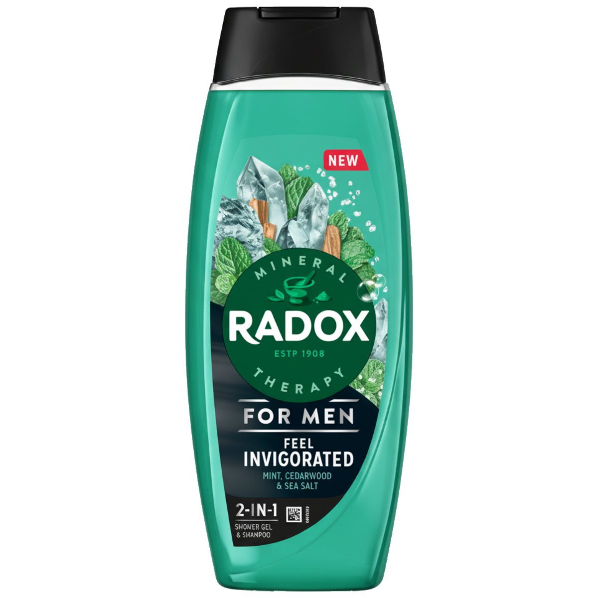 Radox Feel Invigorated sprchový gel pro muže 2 v 1
