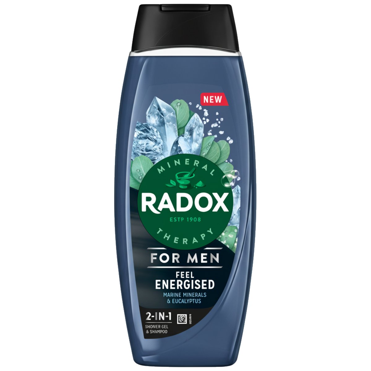 Radox Feel Energised sprchový gel pro muže 2 v 1