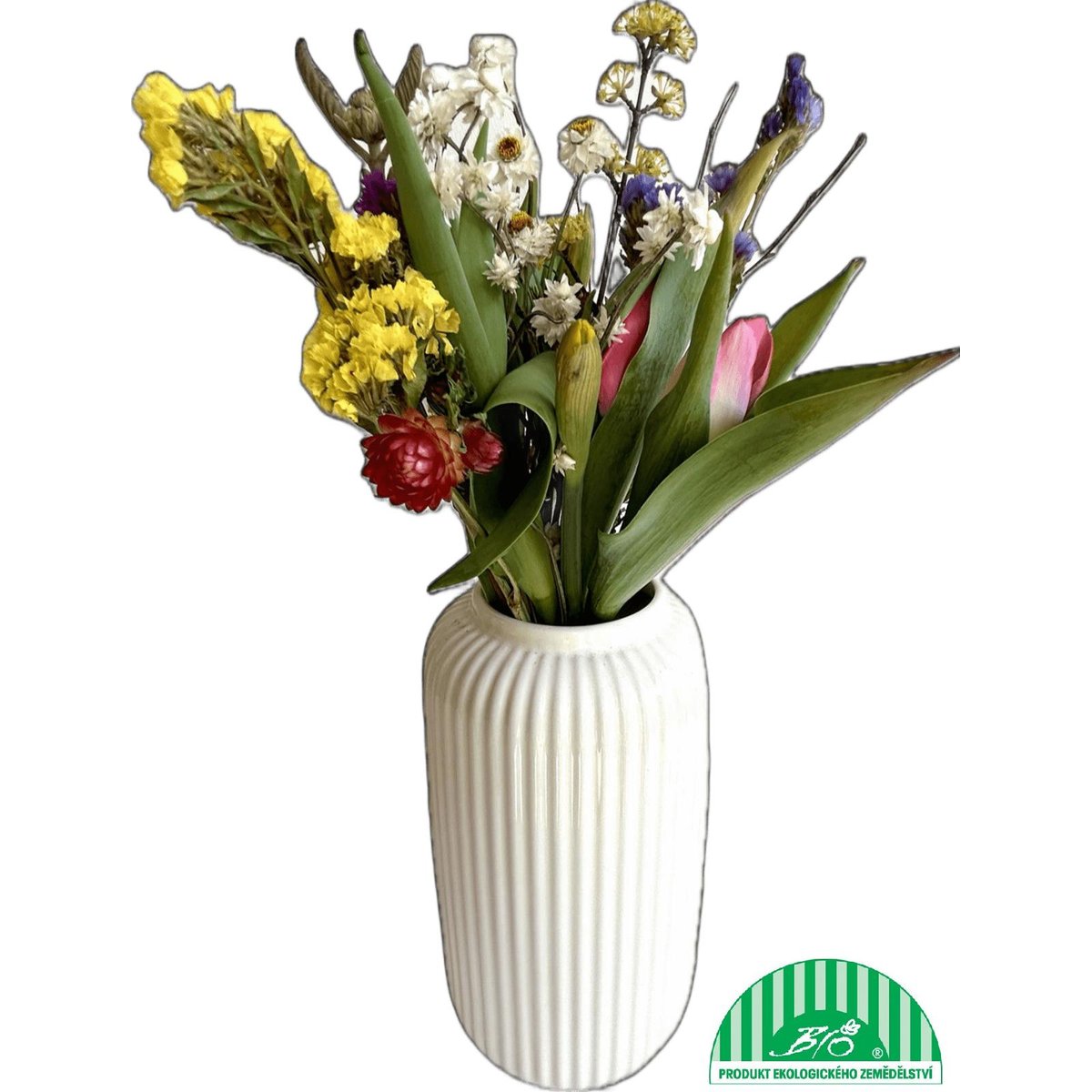 Vitenplant BIO Kytice jarní "Sunrise"