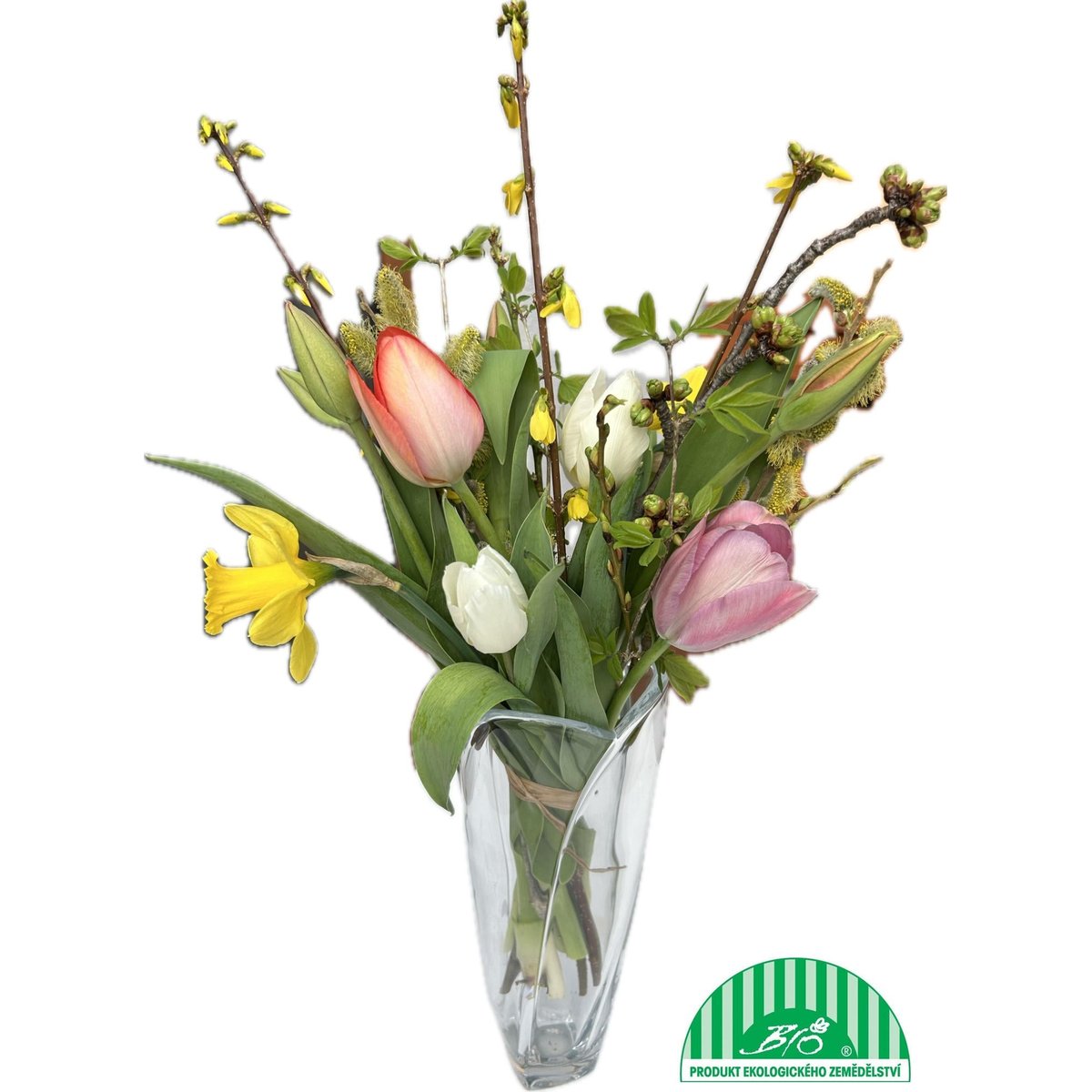 Vitenplant BIO Kytice jarní "Sunrise"