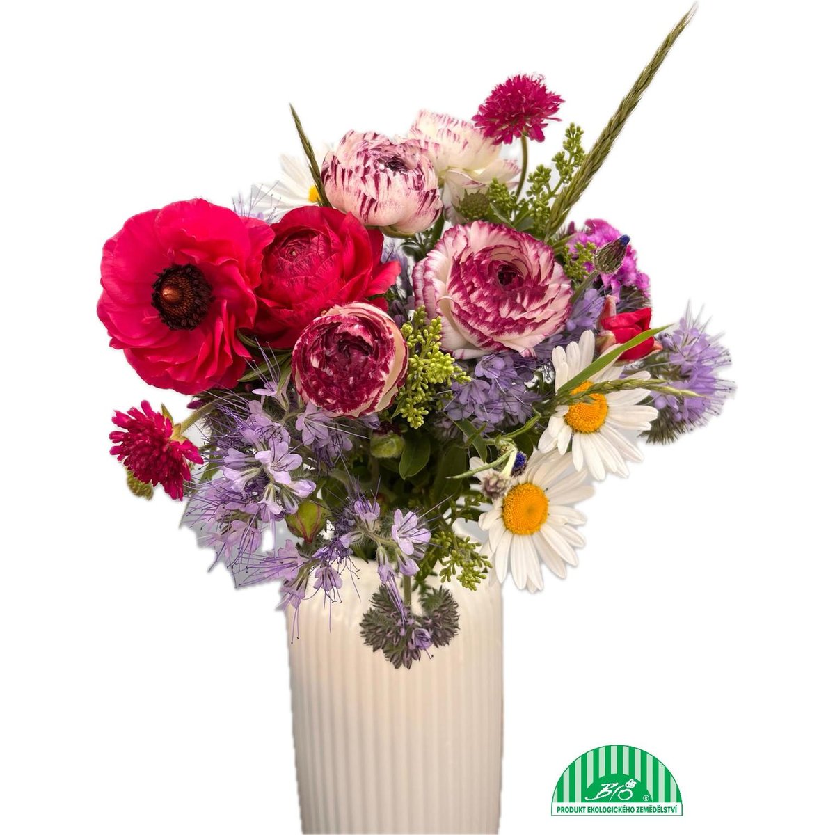 Vitenplant BIO Jarní kytice "Double Joy"