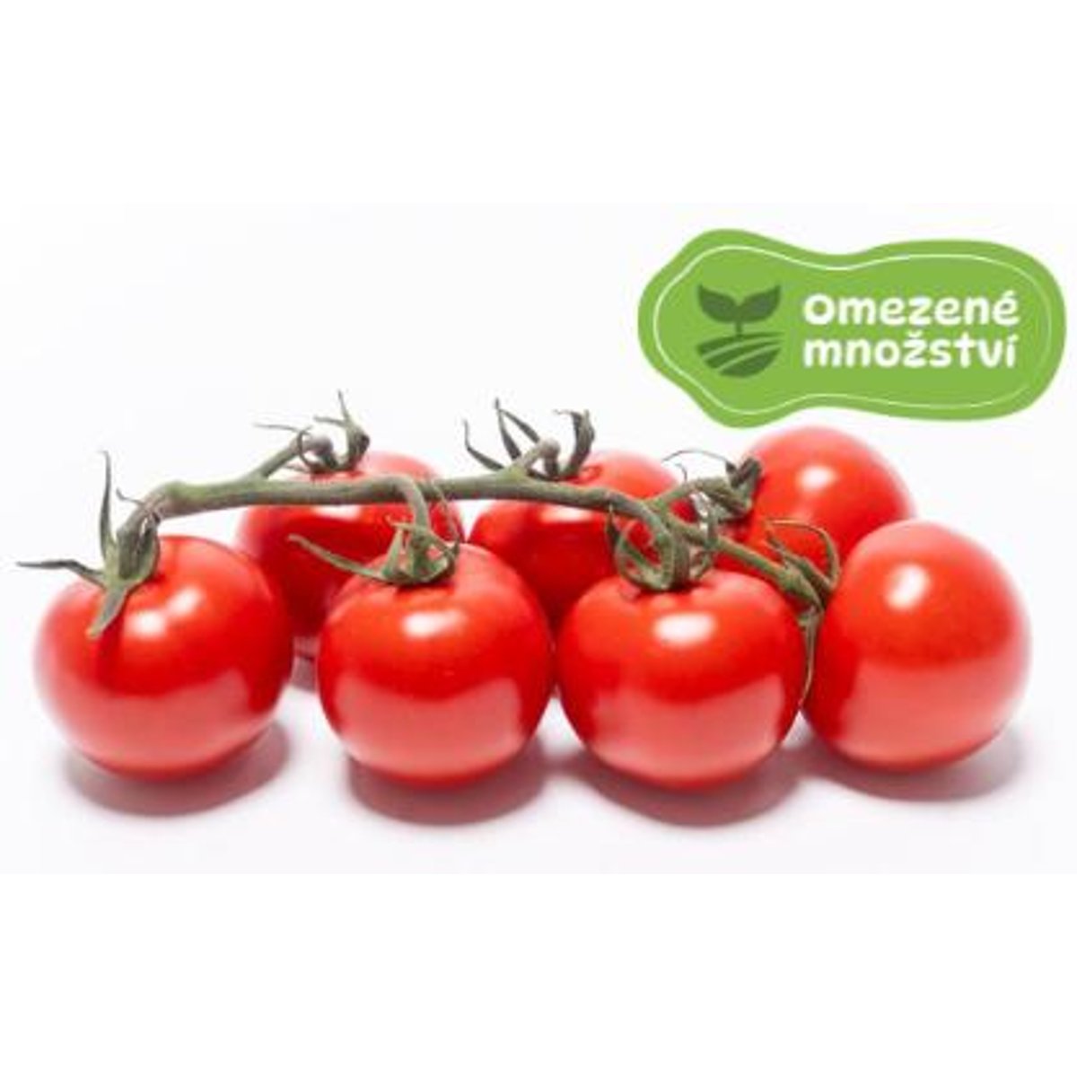 Levně Čerstvě utrženo – Rajčata koktejlová cherry (zn. Oliver), střapec