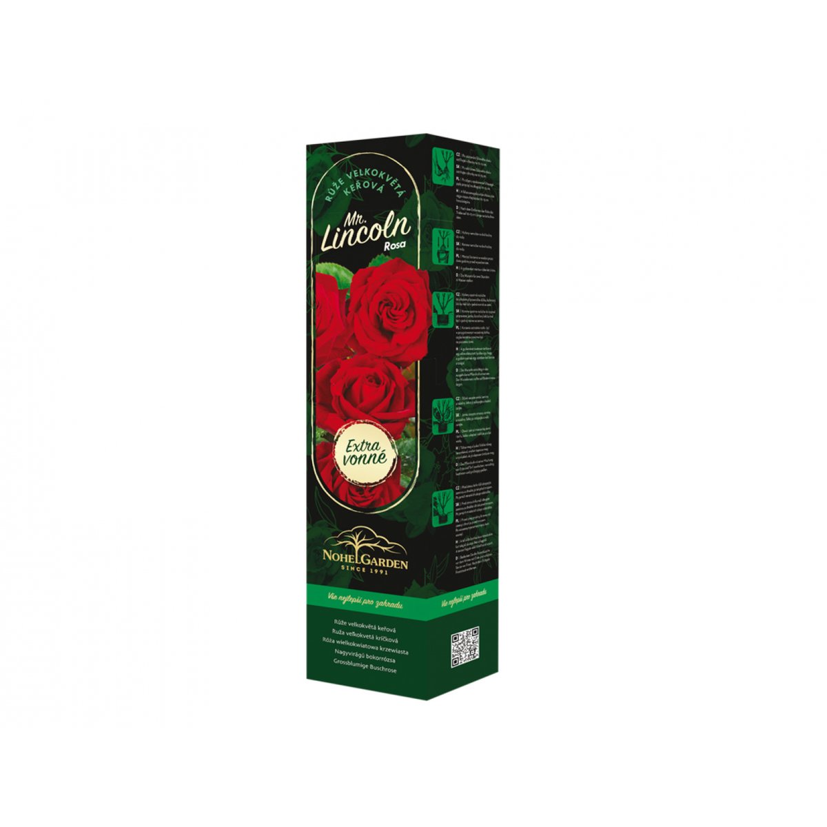 Růže velkokvětá keřová Fragrant Mister Lincoln, sazenice