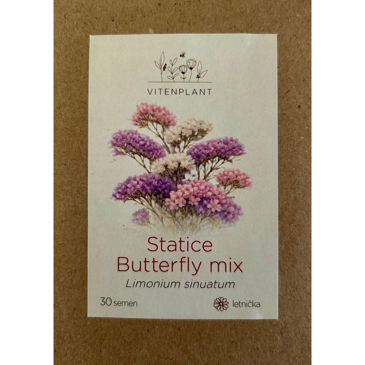 Vitenplant Statice Mix, semínka