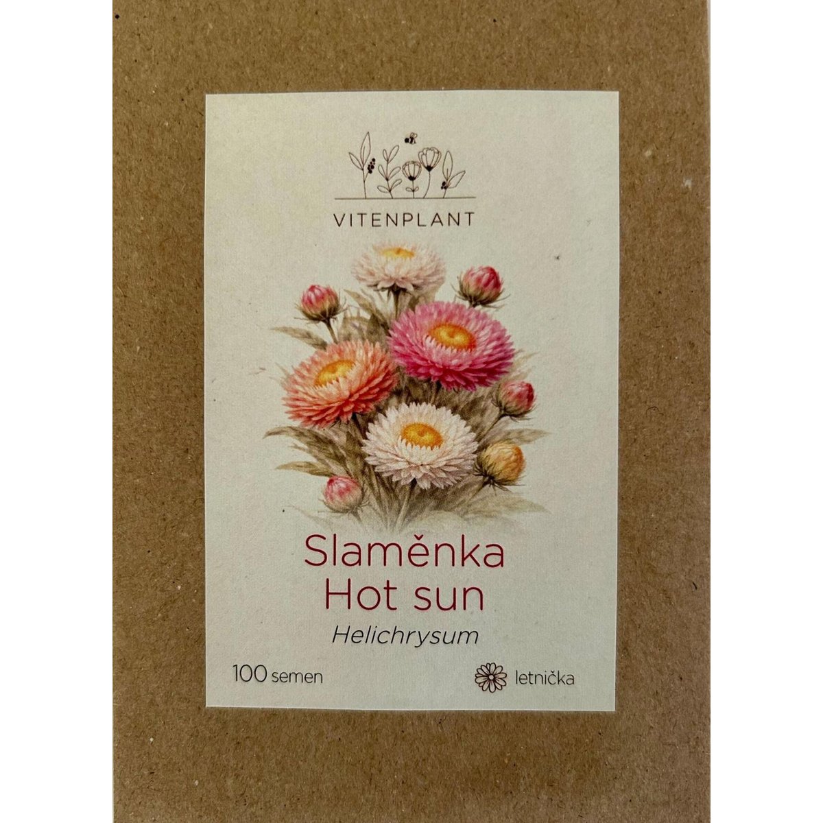 Vitenplant Slaměnka, semínka