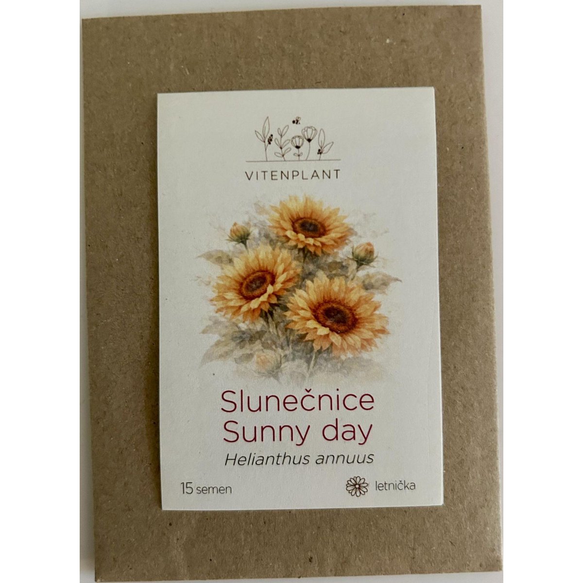 Vitenplant Slunečnice, semínka
